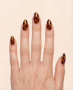 Tortoiseshell