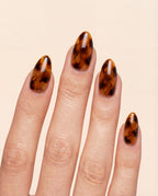 Tortoiseshell